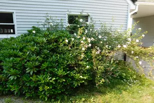 235 Nicolin Rd, Ellsworth, ME 04605 - Photo 42
