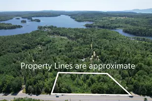 Lot 3 Lois Ln, Gouldsboro, ME 04607 - Photo 1
