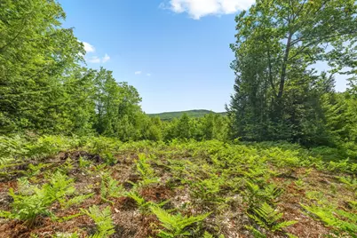 4 Youngs Road, Canton, ME 04221 - Photo 8