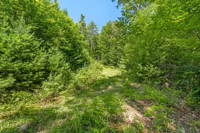 4 Youngs Road, Canton, ME 04221 - Photo 6