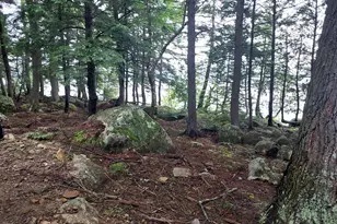 49 Map Pi010 Plan 11 Lot 49, T1 R9 Wels, ME 00000 - Photo 46