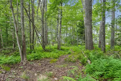 Lot#8C North Road, Chebeague Island, ME 04017 - Photo 16
