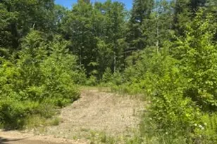 Lot 2C Brown Rd, Liberty, ME 04949 - Photo 1