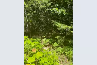 Lot 2C Brown Road, Liberty, ME 04949 - Photo 4