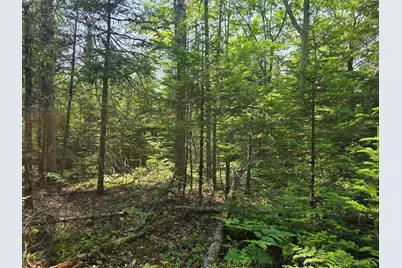 00 Brown Road, Searsmont, ME 04973 - Photo 8