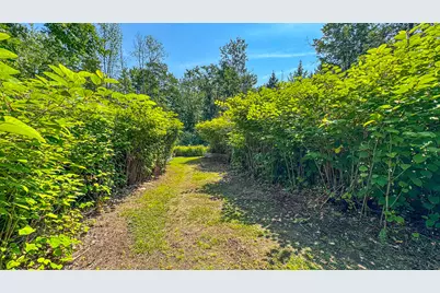 179 S Effingham Road, Newfield, ME 04095 - Photo 8
