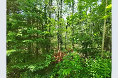 00 Morgan Road, Burnham, ME 04922 - Photo 40