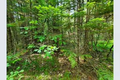 00 Morgan Road, Burnham, ME 04922 - Photo 44