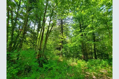 00 Morgan Road, Burnham, ME 04922 - Photo 54