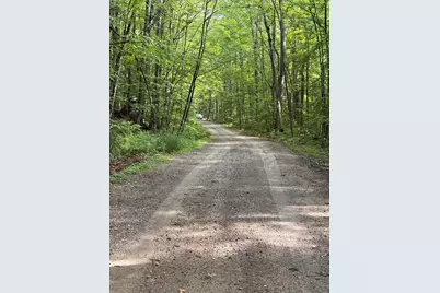 Lot 29 Pine Tree Road, Waterford, ME 04088 - Photo 4