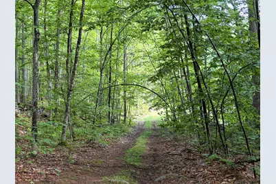 Lot 29 Pine Tree Road, Waterford, ME 04088 - Photo 8