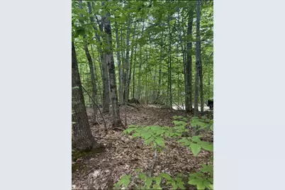 Lot 29 Pine Tree Road, Waterford, ME 04088 - Photo 10