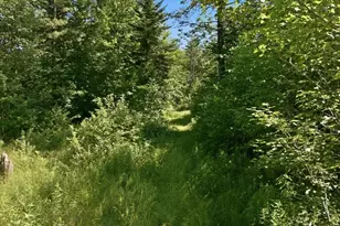 92 No Name Pond Rd, Lewiston, ME 04240 - Photo 44