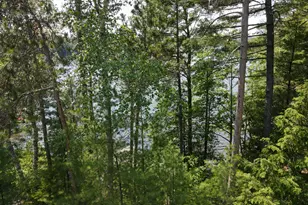39 Lakeview Ave, Dedham, ME 04429 - Photo 66