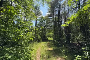 Pe040/15A Andrews Rd, Drew Plt, ME 04497 - Photo 32