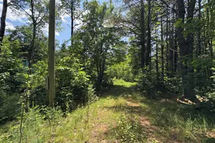 Pe040/15A Andrews Rd, Drew Plt, ME 04497 - Photo 26