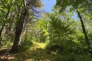 Pe040/15A Andrews Rd, Drew Plt, ME 04497 - Photo 30