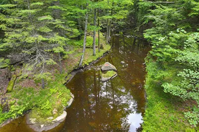 68 Bean Family Road, New Gloucester, ME 04260 - Photo 26
