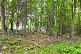 68 Bean Family Rd, New Gloucester, ME 04260 - Photo 20