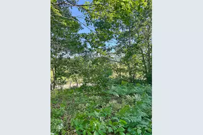 519 Snow's Cove Road, Sedgwick, ME 04676 - Photo 6