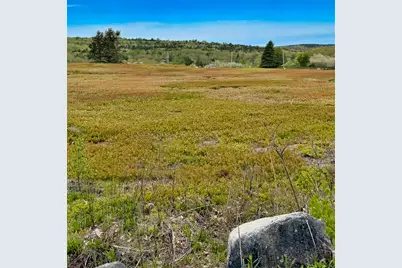 519 Snow's Cove Road, Sedgwick, ME 04676 - Photo 4