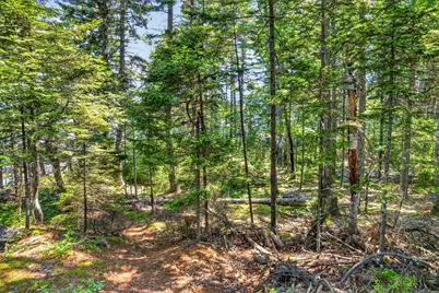 Lot #7 Long Island, Harpswell, ME 04079 - Photo 46
