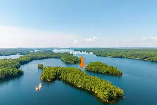 1 Black Island & 93 Birchwood Ln, Winthrop, ME 04364 - Photo 2