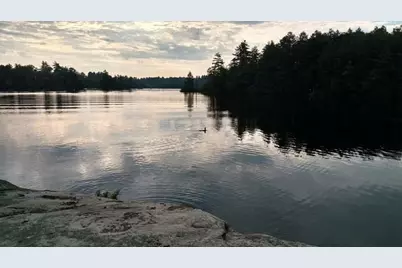 1 Black Island & 93 Birchwood Lane, Winthrop, ME 04364 - Photo 64