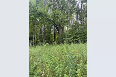 Lot 29 Auburn Road, Peru, ME 04290 - Photo 4