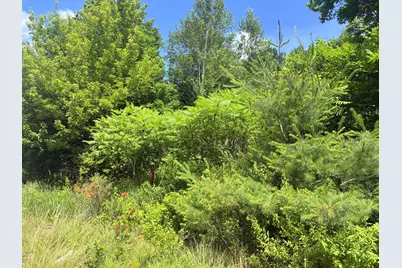 Lot 29 Auburn Road, Peru, ME 04290 - Photo 1