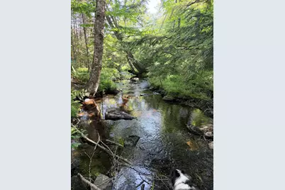 Lot #4 Pine Hill Road, Palermo, ME 04354 - Photo 6