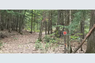 104 Smith Road, Denmark, ME 04022 - Photo 12