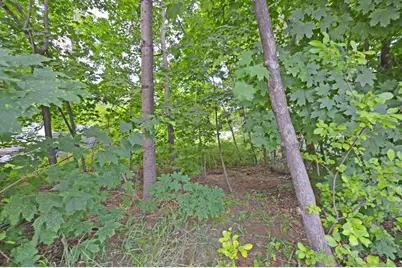 12 Lamothe Avenue, Biddeford, ME 04005 - Photo 2