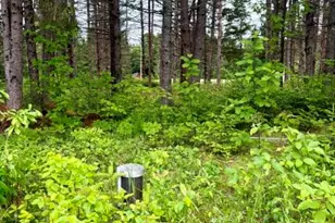 1337 E Plantation Rd, Blaine, ME 04734 - Photo 32