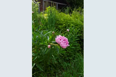 128 Swan Lake Avenue, Belfast, ME 04915 - Photo 8