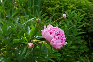 128 Swan Lake Ave, Belfast, ME 04915 - Photo 8