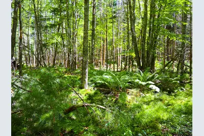 710-644 Beechwood Street, Warren, ME 04864 - Photo 4