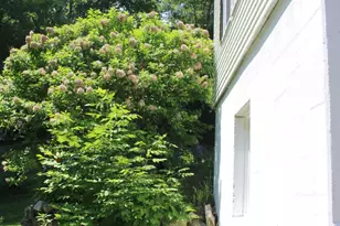 424 Penobscot St, Rumford, ME 04276 - Photo 10