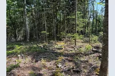 M6L21 Great Cove Road, Roque Bluffs, ME 04654 - Photo 6