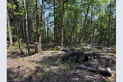 M6L21 Great Cove Road, Roque Bluffs, ME 04654 - Photo 10