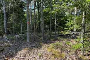 M6L21 Great Cove Rd, Roque Bluffs, ME 04654 - Photo 1