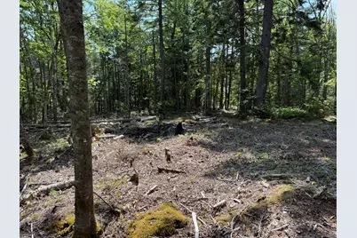 M6L21 Great Cove Road, Roque Bluffs, ME 04654 - Photo 16