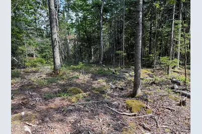 M6L21 Great Cove Road, Roque Bluffs, ME 04654 - Photo 14