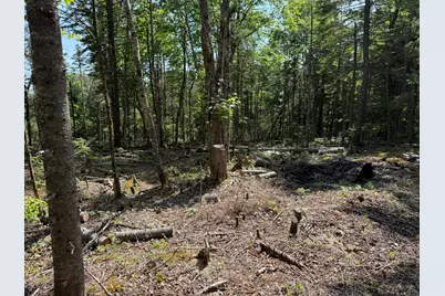 M6L21 Great Cove Road, Roque Bluffs, ME 04654 - Photo 14