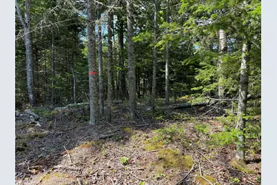 M6L21 Great Cove Road, Roque Bluffs, ME 04654 - Photo 2