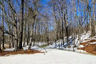 372 River Rd, Avon, ME 04966 - Photo 32