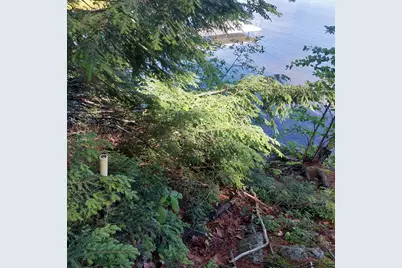Lot 25A Sokokis Road, Sebago, ME 04029 - Photo 26