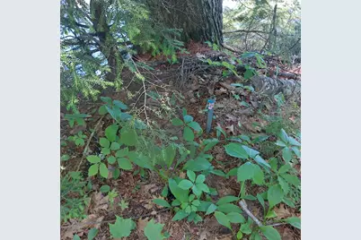 Lot 25A Sokokis Road, Sebago, ME 04029 - Photo 26