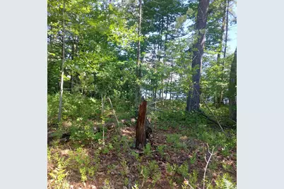 Lot 25A Sokokis Road, Sebago, ME 04029 - Photo 24