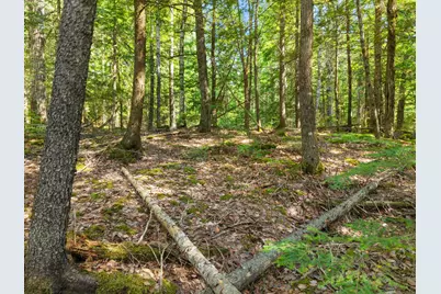 01-Lot 26 County Road, Greenfield Twp, ME 04461 - Photo 8